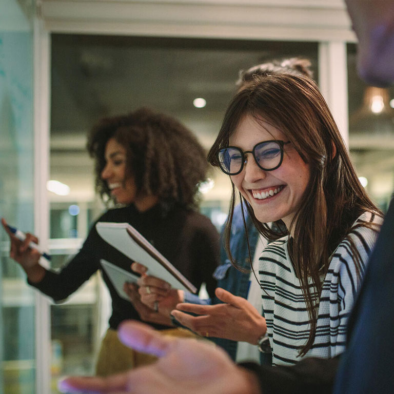 Streamline customized models